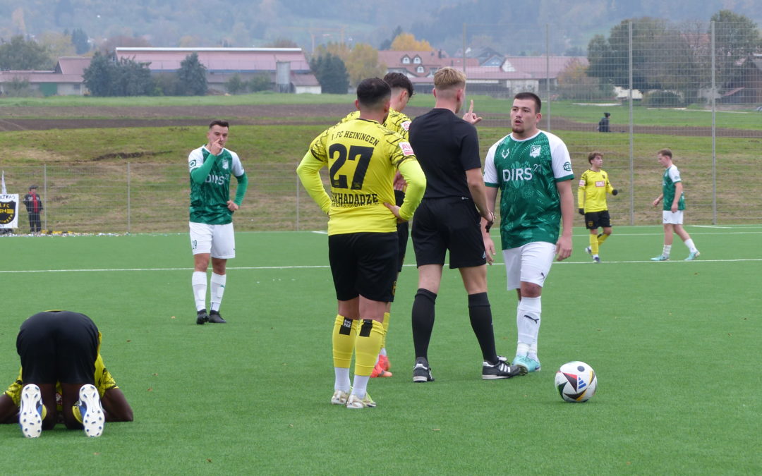 Routinier Lasha Tskhadadze bleibt beim FCH