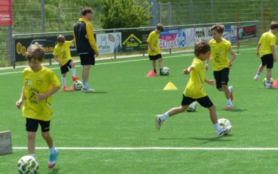 Gelungener Auftakt beim FCH-Fußballcamp 2026