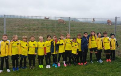 GOAT-Alarm in Heiningen